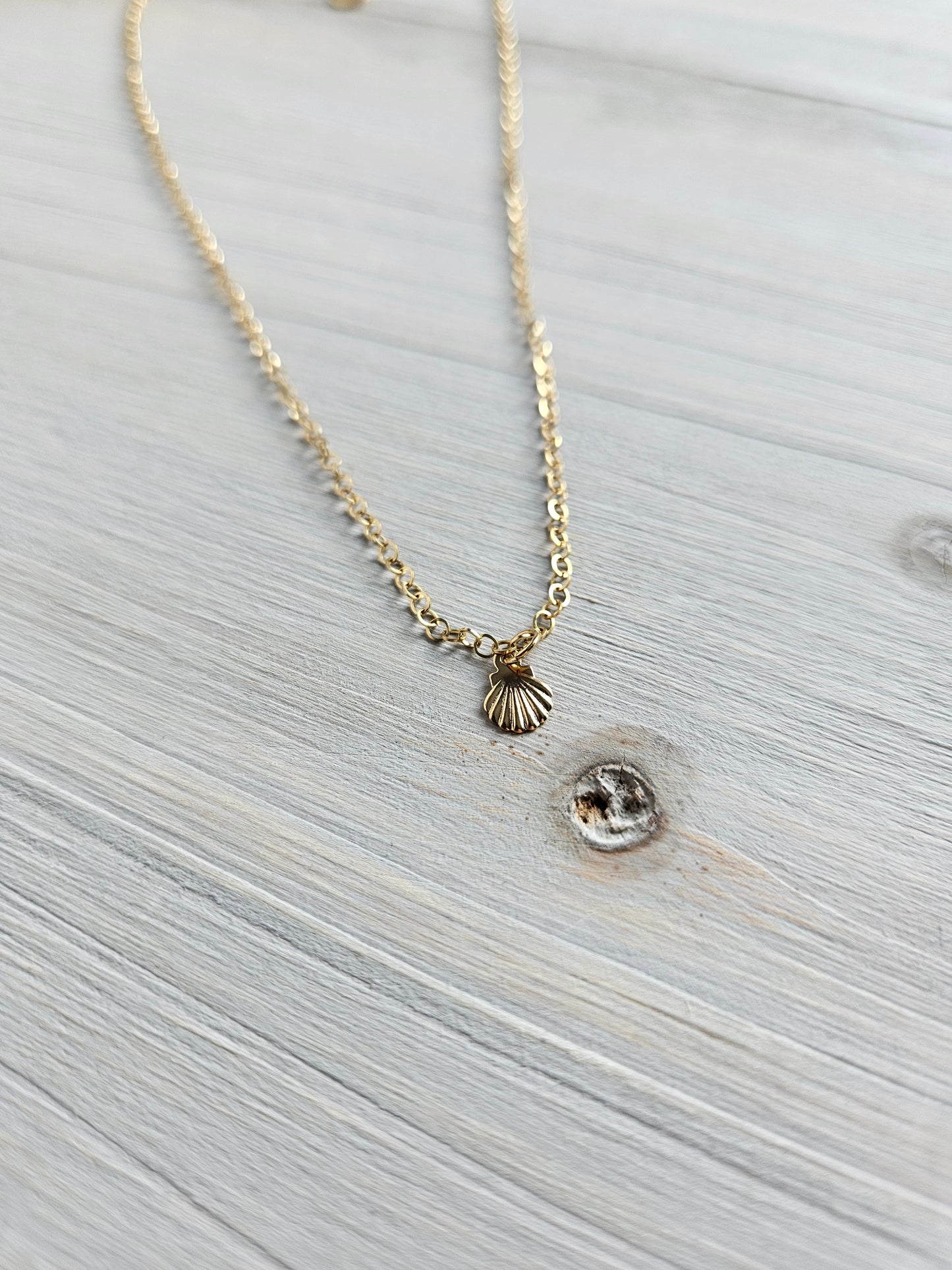 Collier - Coquillage