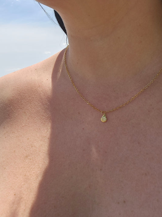 Collier - Coquillage